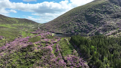 irlanda lugares épicos drone vista volando por el paso de vee knockmealdown montañas a un pequeño lago