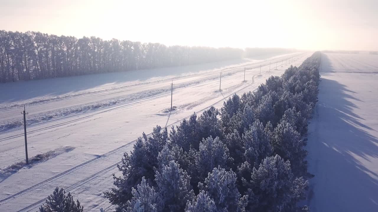겨울 숲 을 가로질러 눈 인 길