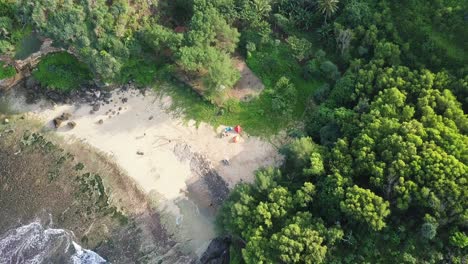 Aerial-top-down-shot-of-small-sandy-beach-with-sea-and-forest-trees-in-background