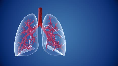 salud de los pulmones humanos y antecedentes médicos.