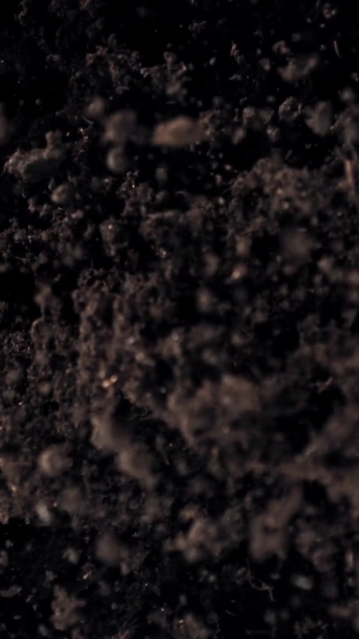 Dark Soil Particles Swirling and Floating in Liquid