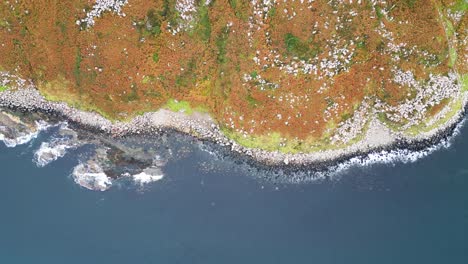 Birdseye-aerial-view-of-the-geographically-prominent-Fair-Head-in-Northern-Ireland-known-for-its-stunning-coastal-cliffs-and-panoramic-views