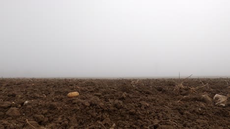 Timelapse-of-a-foggy-morning-from-a-very-low-perspective-with-a-potatoe-in-focus