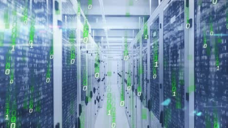 datos que se procesan a través de una red de servidores informáticos