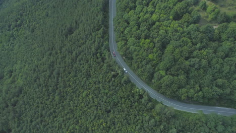 coche plateado y suv rojo conduciendo en carretera de montaña curva con bosque profundo de ambos lados de la carretera
