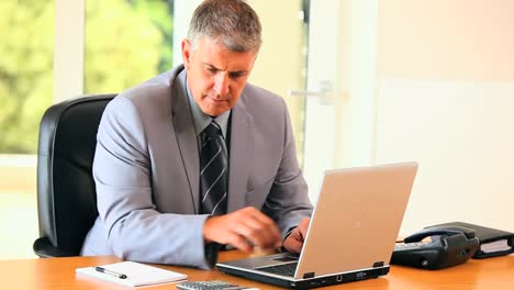 Greyhaired-mature-man-working-on-his-laptop