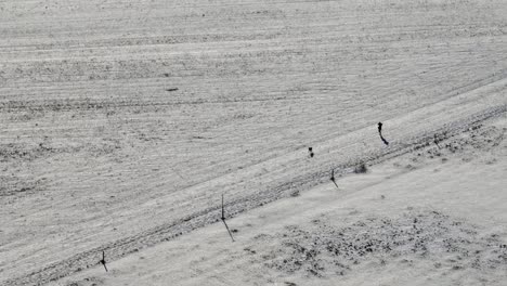 Dando-Un-Paseo-Con-El-Adorable-Perro-En-La-Nieve---Vista-Aérea-En-Invierno