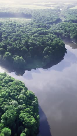 natural pond on a sunny summer day forest panorama