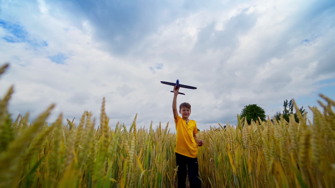 Little boy walks in wheat field. Happy child playing with toy plane on the field under beautiful sky. Boy among agriculture field in summer. Front view.