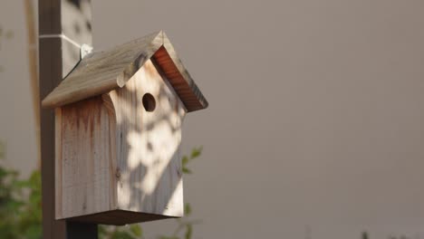 Primer-Plano-De-Una-Casita-Para-Pájaros-De-Madera-Al-Aire-Libre