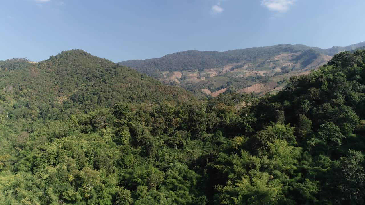 el hermoso paisaje de árboles gloriosos en el bosque en tailandia bajo el cielo azul brillante arriba - toma aérea