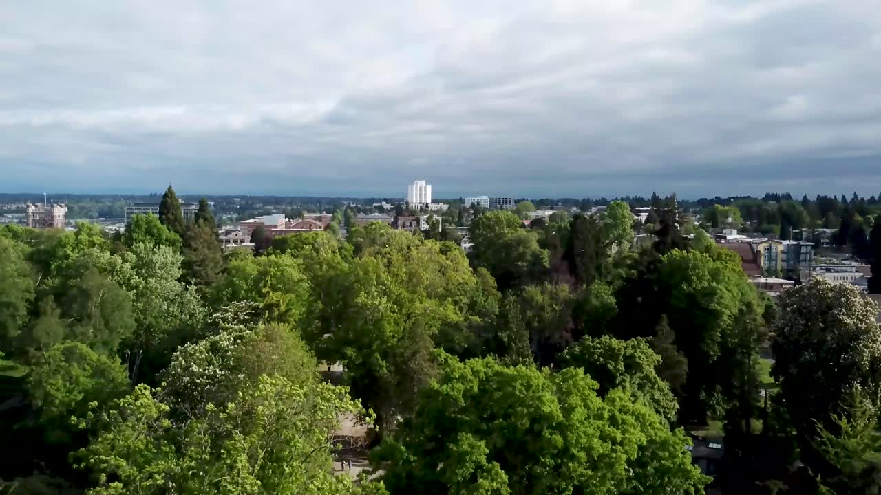 vuelo de drones a través del parque con la ciudad en el horizonte
