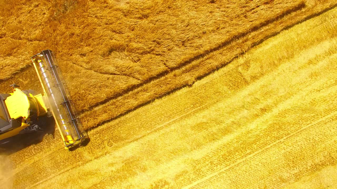 vista aérea de la cosechadora combinada. cosecha de un campo de trigo. antecedentes industriales sobre el tema agrícola. biocombustibles y producción de alimentos desde arriba. agricultura y medio ambiente en la unión europea.