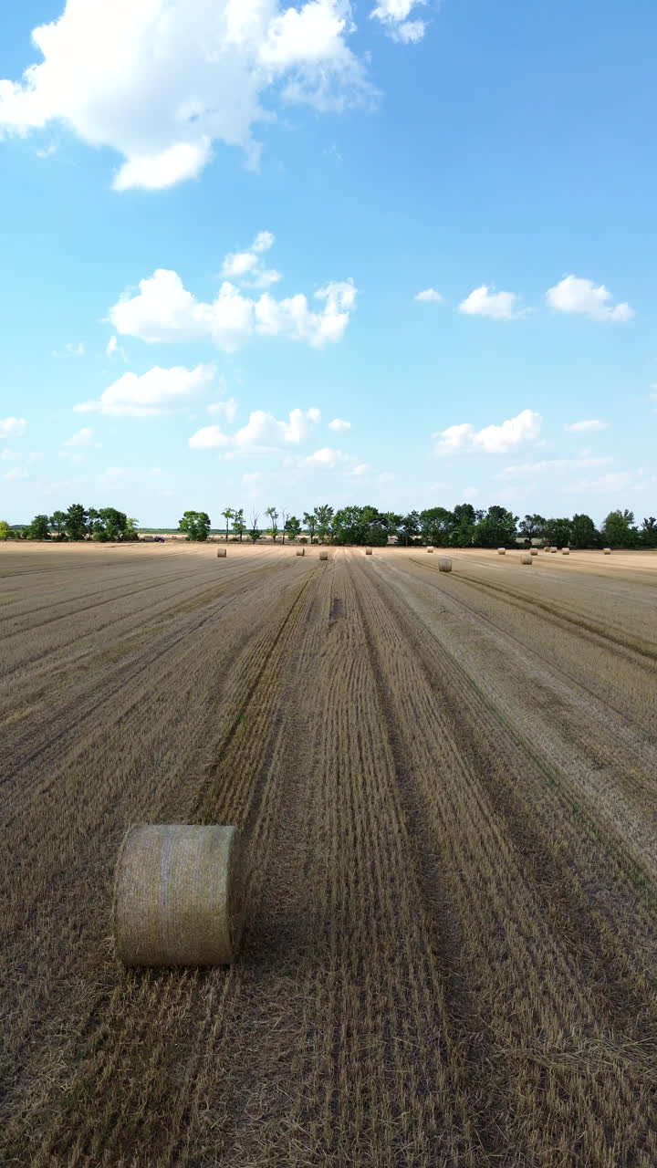 Dieses Video bietet eine weite Luftaufnahme eines Heuballenfeldes, das sich in eine ferne Landschaft erstreckt. Es zeigt landwirtschaftliche Flächen und die ordentliche Anordnung der Heuballen nach der Ernte.