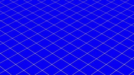 animation of static white line diamond grid on strong blue background