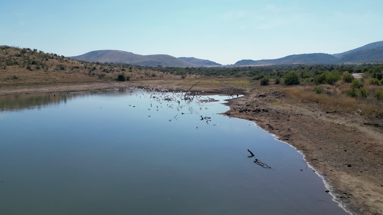 남아프리카 공화국 북서부 루스텐부르크의 야생 동물 스카이 라인