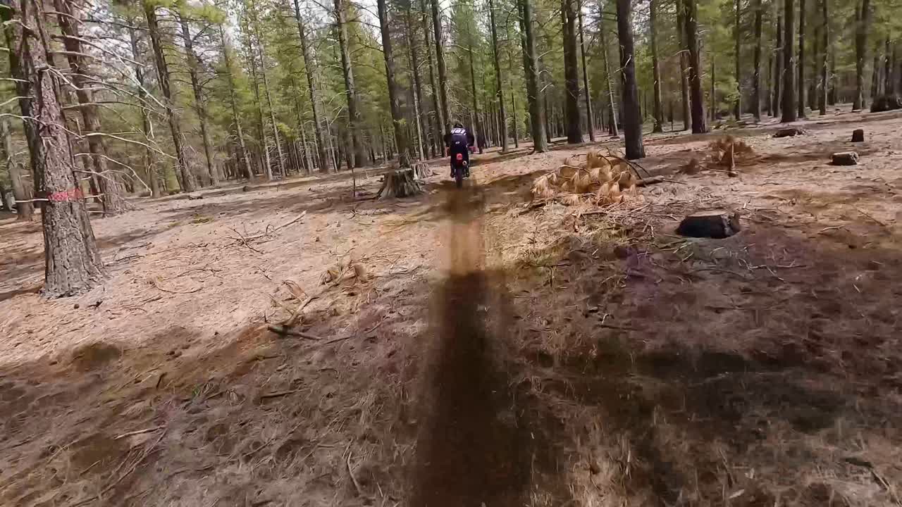 drone de carrera de cerca siguiendo a un motociclista masculino a través de los árboles, 60fps