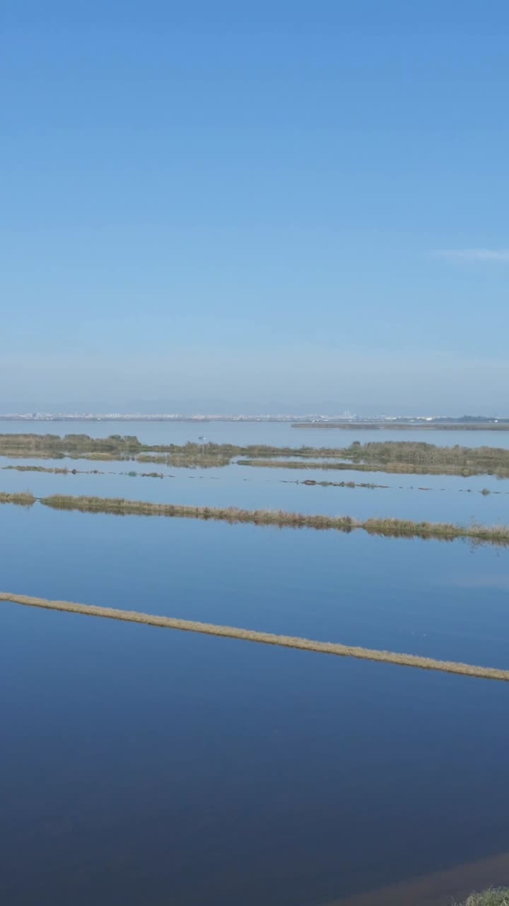 Expansive Wetland Landscape Under a Clear Blue Sky