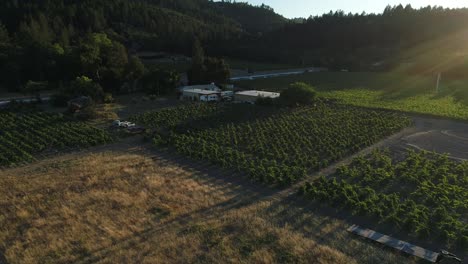 closing in on a ranch in the napa valley showing an open field and vineyard