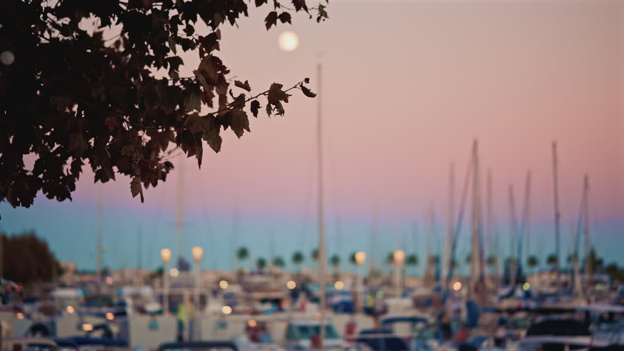Softly blurred view of a marina at blue hour, with bokeh lights and boat masts under a gradient sky, framed by autumn leaves and a bright full moon