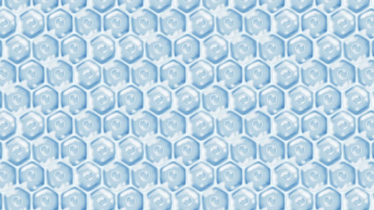 인간 피부 세포: 세포막을 가진 각 세포, 세포 치료, 질병 치료, 핵과 진공, 재생, 루프 애니메이션