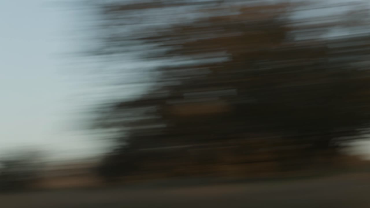 Blurred Forest Motion