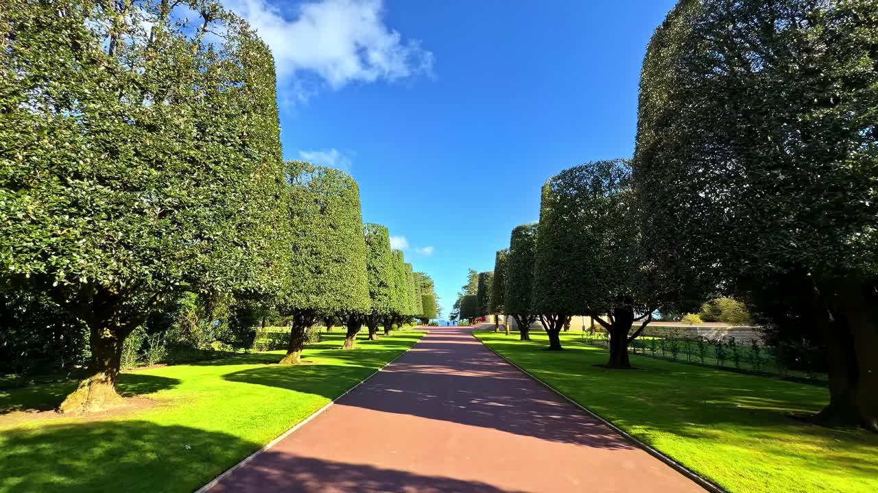 Dolly aereo in avanti di alberi e un sentiero al Cimitero Americano di Normandia, Francia.