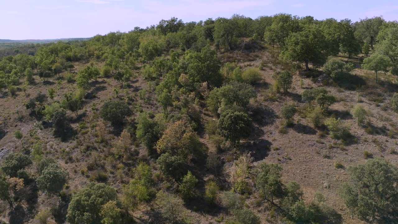 Ripresa aerea di una foresta montana rurale coperta da arbusti e terreno arido in una giornata di sole