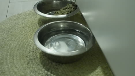 dog's water bowl is placed down beside food bowl full of kibble food