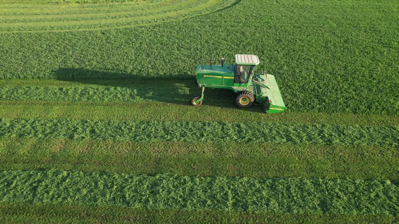 Nella Contea di Door, WI, un agricoltore su un trattore John Deere taglia il suo campo di erba medica a fine agosto-16
