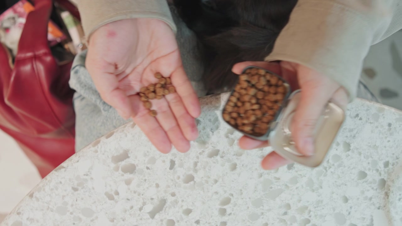 Close-up van handen van een persoon die een open blik met bruine dierenvoeding vasthoudt en wat overdoet naar de andere hand. De scène toont zachte verlichting en binnenhuistexturen op het tafeloppervlak.