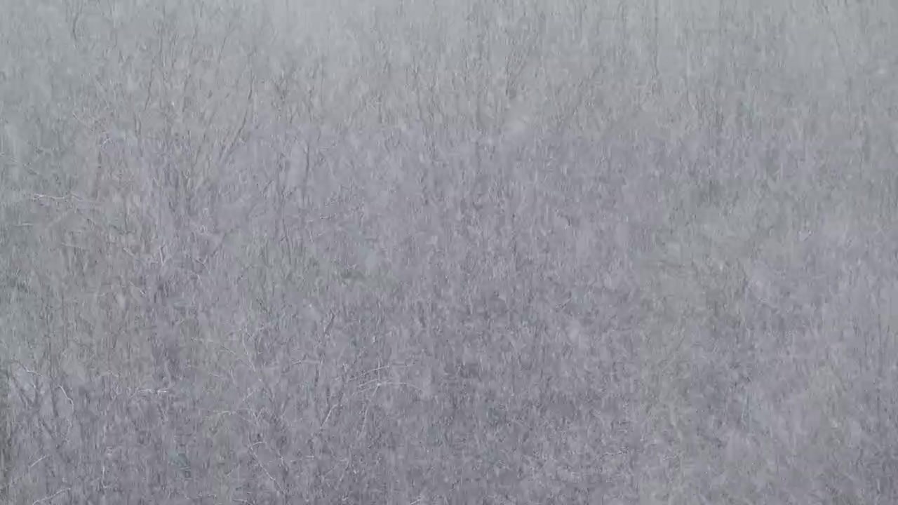 Blizzard in the winter.