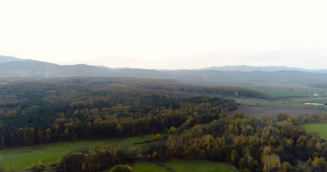 Fliegen-über-Waldwald-Von-Oben-13