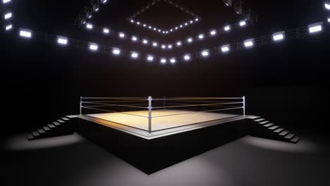 sports wrestling and boxing. sport 4k professional background animation