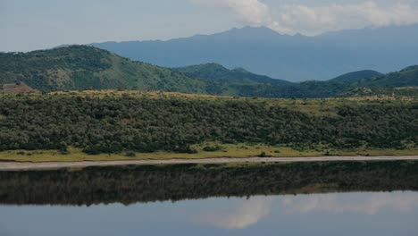 exuberante vista de la ladera africana reflejada sobre la presa