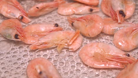 fresh pink shrimp