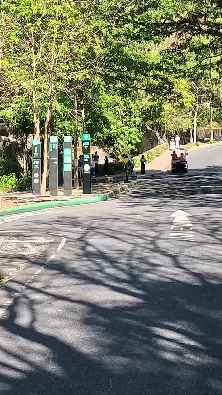 울창 한 초록색 을 가로질러 평화 로운 운전