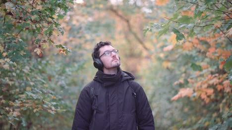 young european man with headphones in a vibrant fall mixed forest, observing colorful autumn leaves