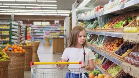 child shopping in a grocery store