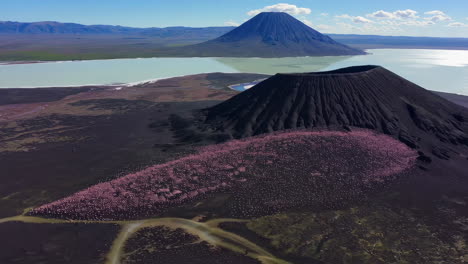 massive flamingo flock near volcanic peaks and salt lake
