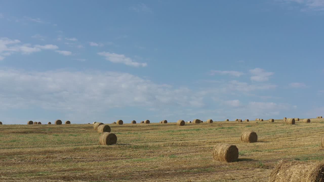rollos de heno en el campo bajo el cielo azul 4k video de inclinación