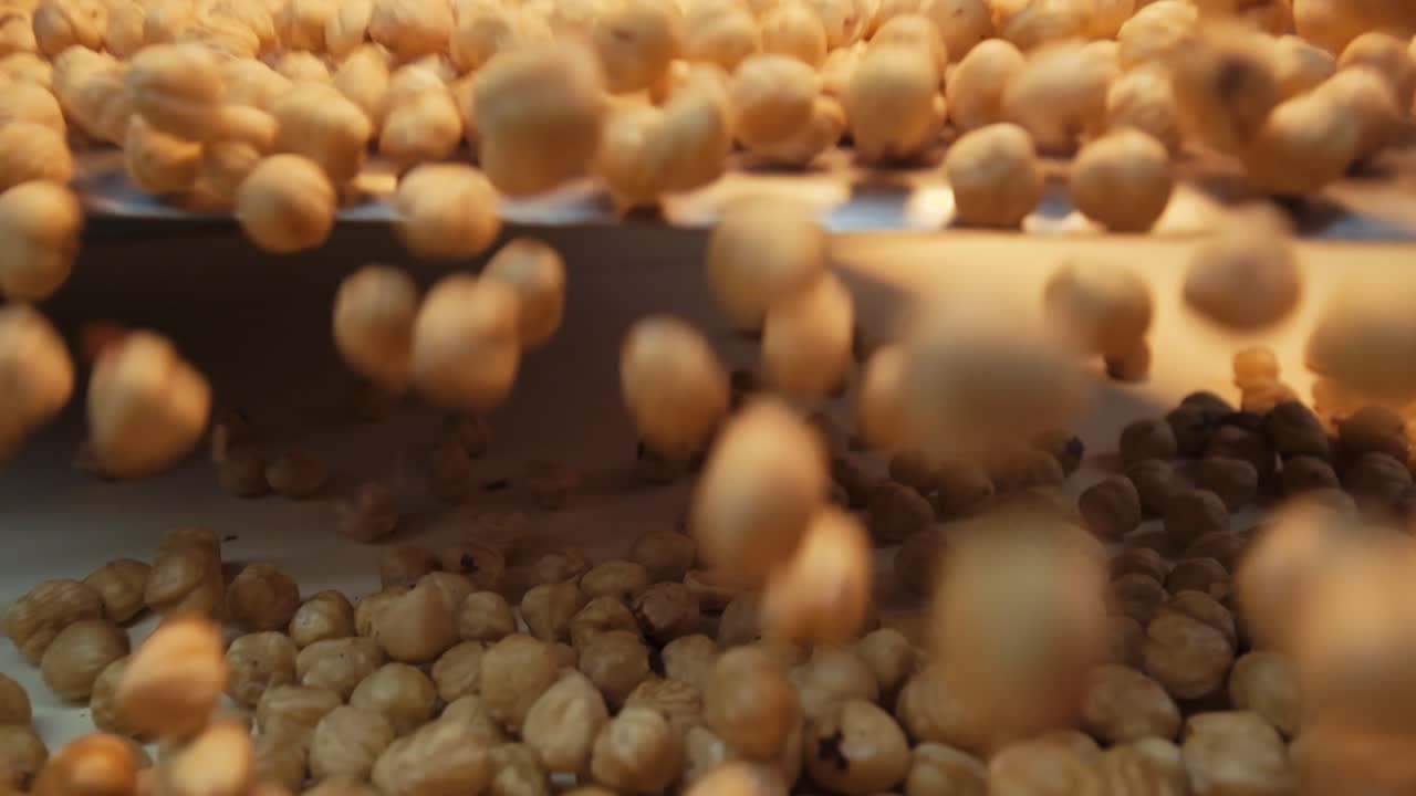 Hazelnuts on the conveyor belt in factory, hazelnut selection and roasting process