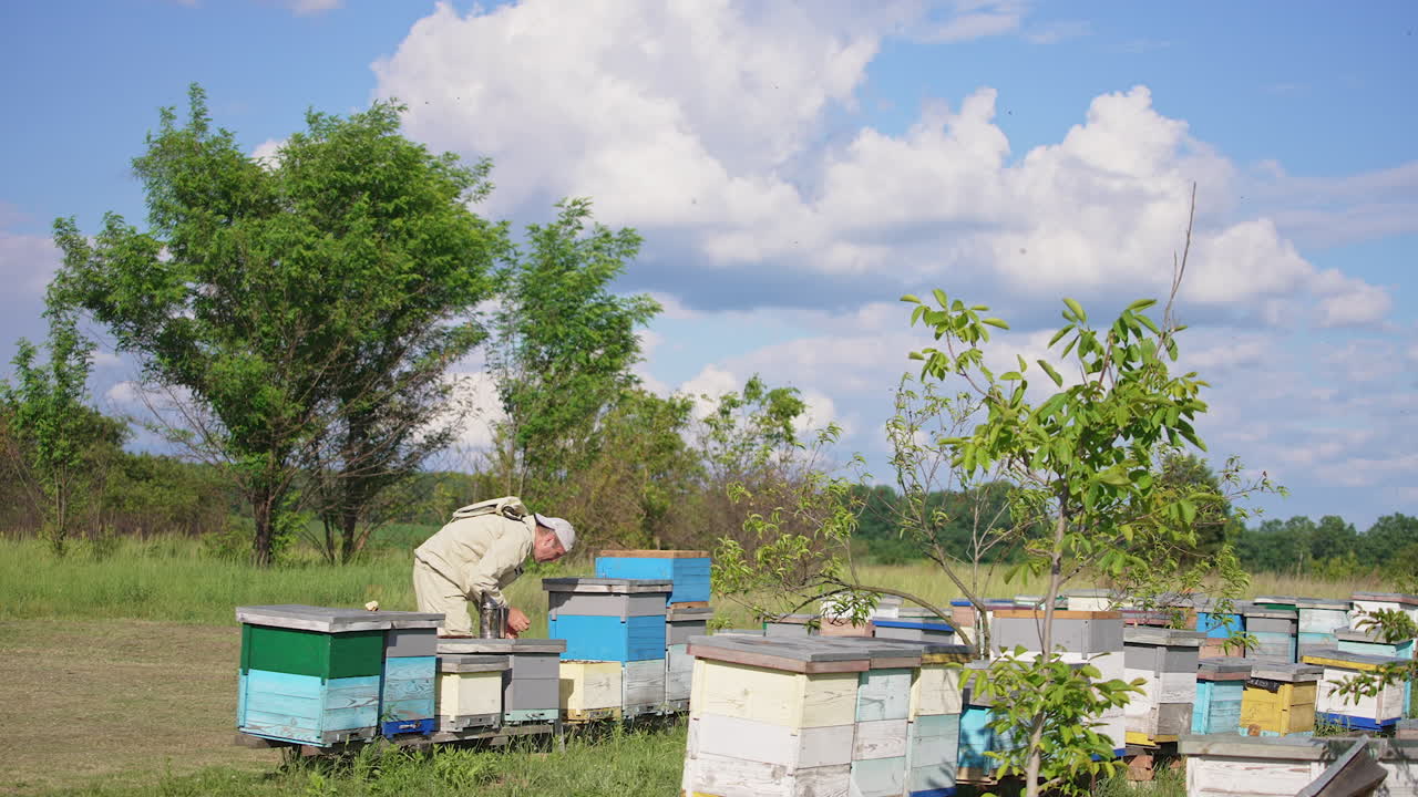 Beekeeper in special uniform working at rural bee farm. Sunny windy day at apiary located in the nature.