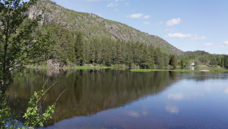 Luftaufnahme-Durch-Äste,-über-Einen-Ruhigen,-Spiegelnden-Tovdalelva-Fluss,-An-Einem-Sonnigen-Tag,-In-Agder,-Norwegen---Dolly,-Drohnenaufnahme