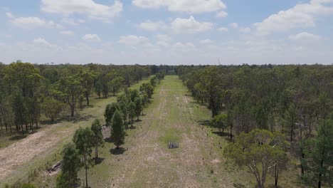 imágenes aéreas de un incendio forestal en australia