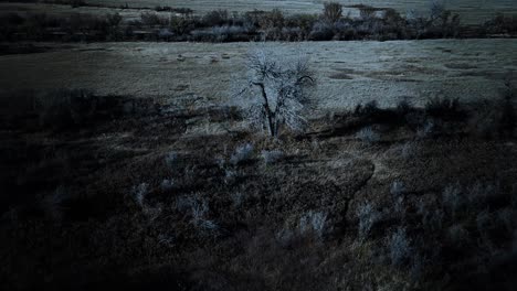 prairie land and forest area in the country during the night filmed from above with a drone