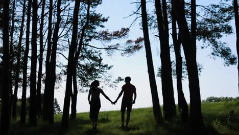 walking couple in the forest. young couple in love walking in the woods
