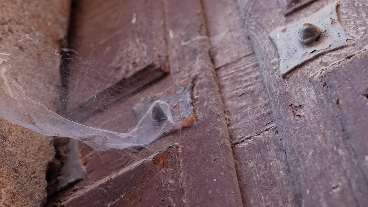 webcob을 나타 내기 위해 오래된 나무 문에 왼쪽 패닝