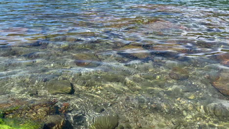 a footage of a lake with very clear water towards the foot of a lady that has many little fish circulating around this feet