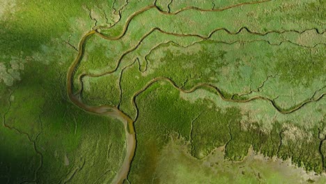 la épica textura de las vías fluviales naturales del delta de slikken van voorne, las sombras de las nubes pasan por encima